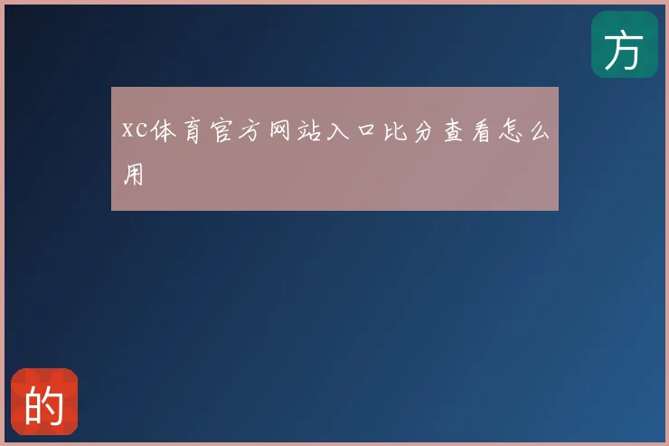 xc体育官方网站入口比分查看怎么用