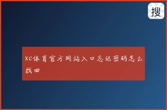 xc体育官方网站入口忘记密码怎么找回